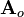 ~{\mathbf  A}_{o}